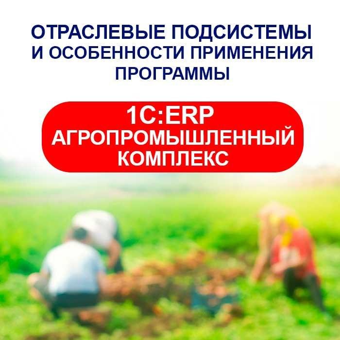 Отраслевые подсистемы и особенности применения программы 